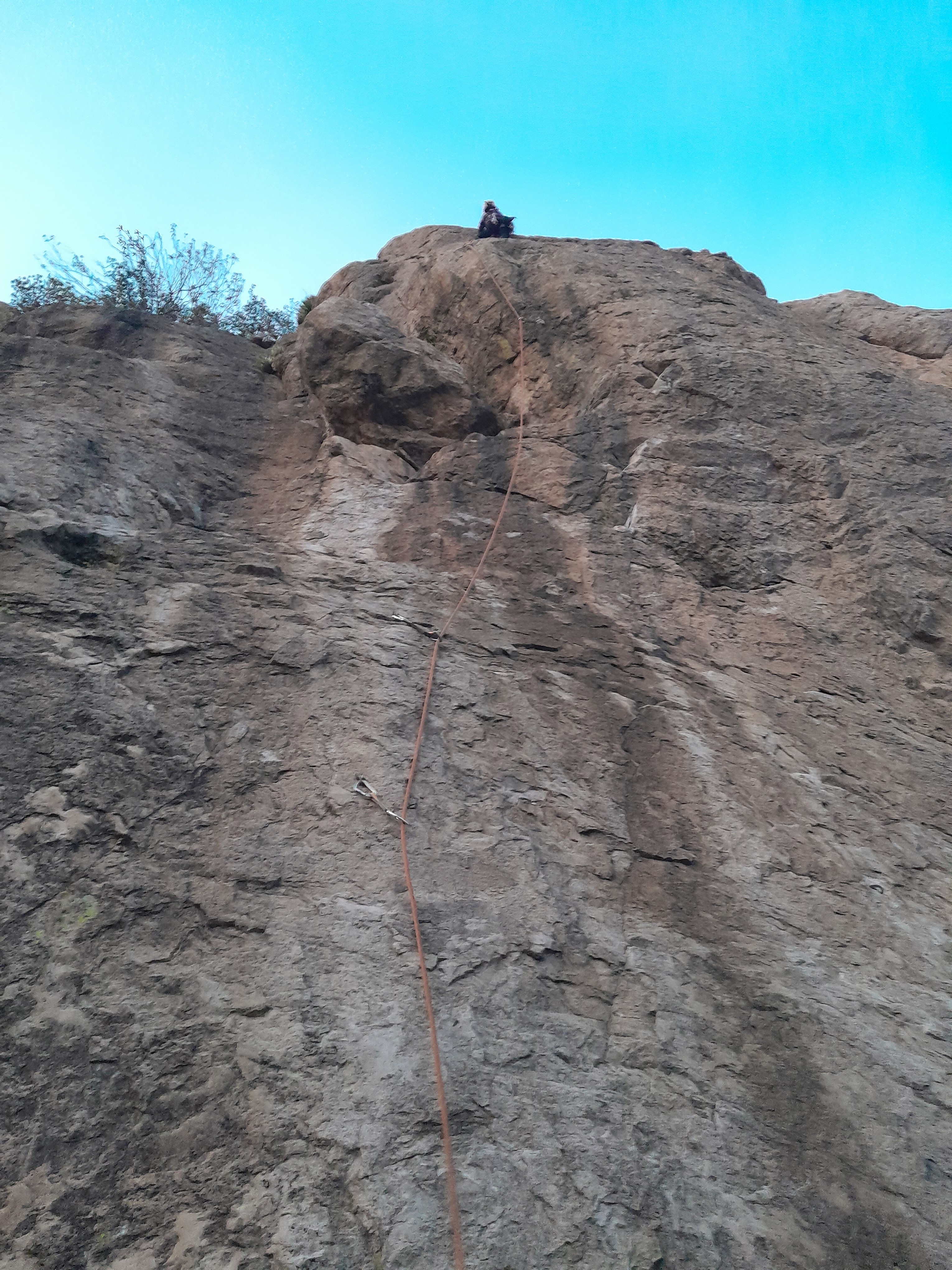 renta de muros de escalada instalacion de tirolesas